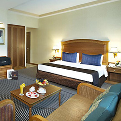 اتاق فمیلی (خانوادگی)