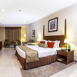 اتاق اگزکیوتیو