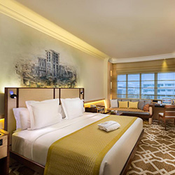 اتاق اگزکیوتیو