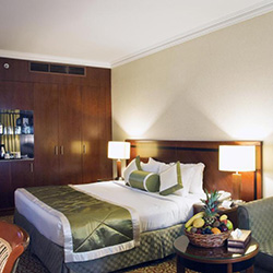 اتاق اگزکیوتیو