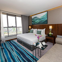 سوئیت اگزکیوتیو