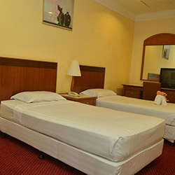 اتاق سوپریور توئین