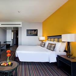 اتاق دلوکس با چشم انداز شهر