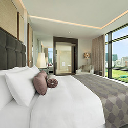 سوئیت کرولاین استر