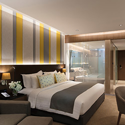 اتاق سینگل (یک نفره)