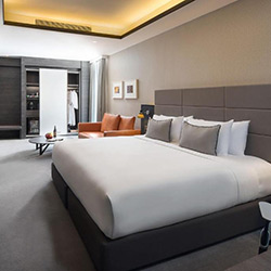 اتاق اگزکیوتیو پرمیر