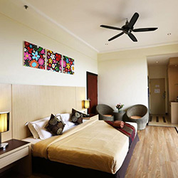 اتاق پرمیر دلوکس