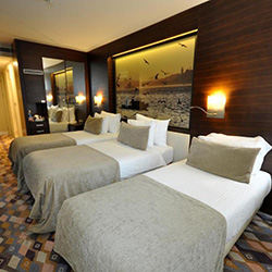 اتاق استاندارد تریپل (سه نفره)