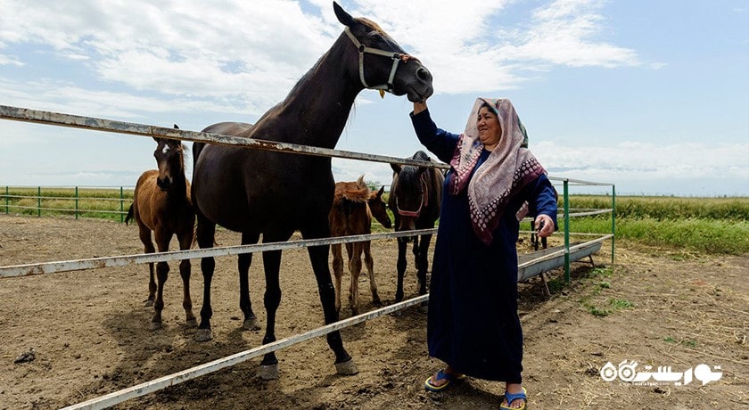 ترکمن صحرا -  شهر ترکمن