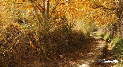 روستای هرانده -  شهر فیروزکوه