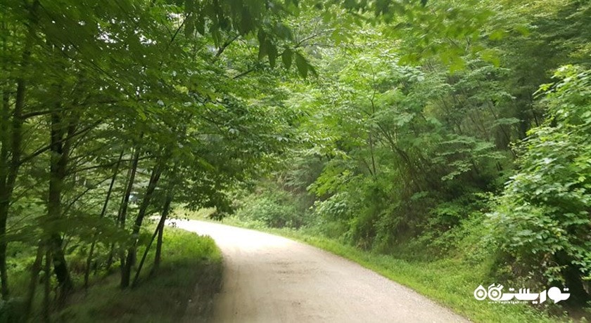 جنگل و آبشار پلنگ دره -  شهر شیرگاه