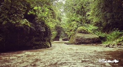 جنگل و آبشار پلنگ دره -  شهر شیرگاه