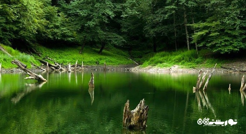 دریاچه چورت -  شهر ساری