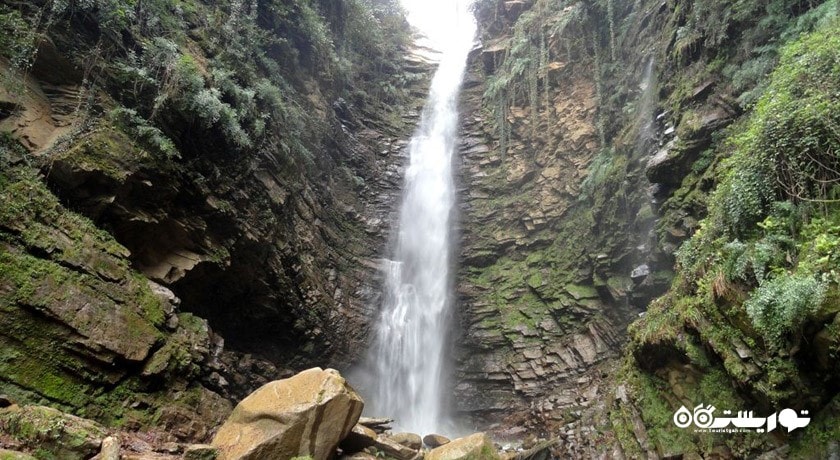 جنگل لفور -  شهر شیرگاه