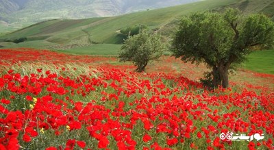 روستای پالنگان -  شهر کامیاران