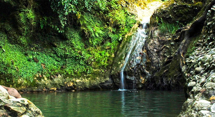 شیرگاه -  شهر شیرگاه