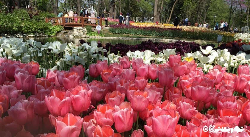  پارک امیرگان شهر ترکیه کشور استانبول