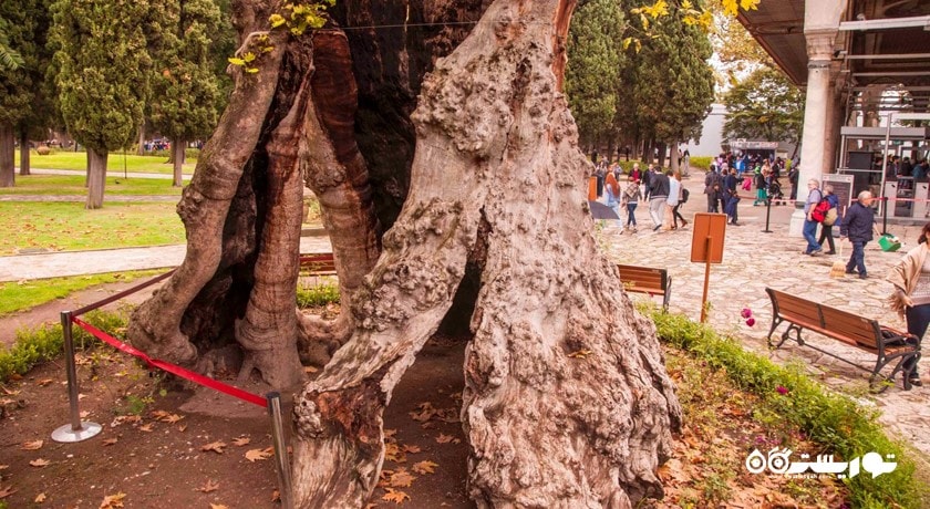  کاخ توپکاپی (توپکاپی سرای) شهر ترکیه کشور استانبول