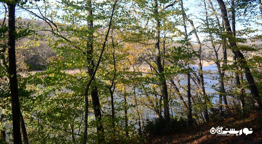  جنگل بلگراد شهر ترکیه کشور استانبول