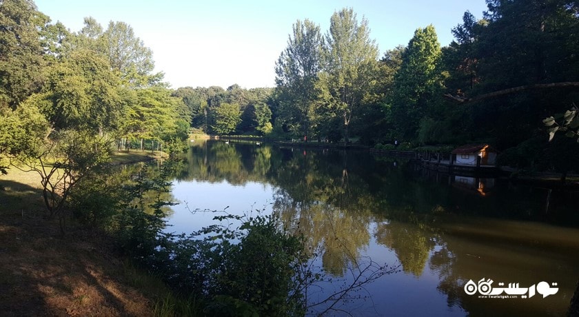  جنگل بلگراد شهر ترکیه کشور استانبول