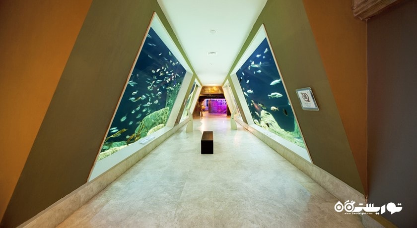  آکواریوم استانبول شهر ترکیه کشور استانبول