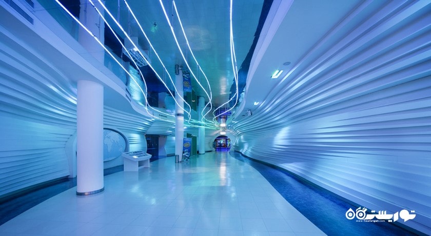  آکواریوم استانبول شهر ترکیه کشور استانبول