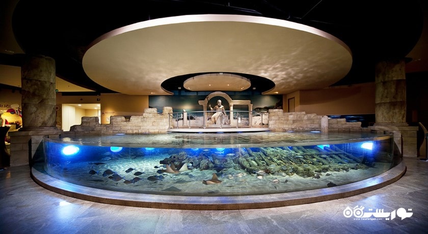  آکواریوم استانبول شهر ترکیه کشور استانبول