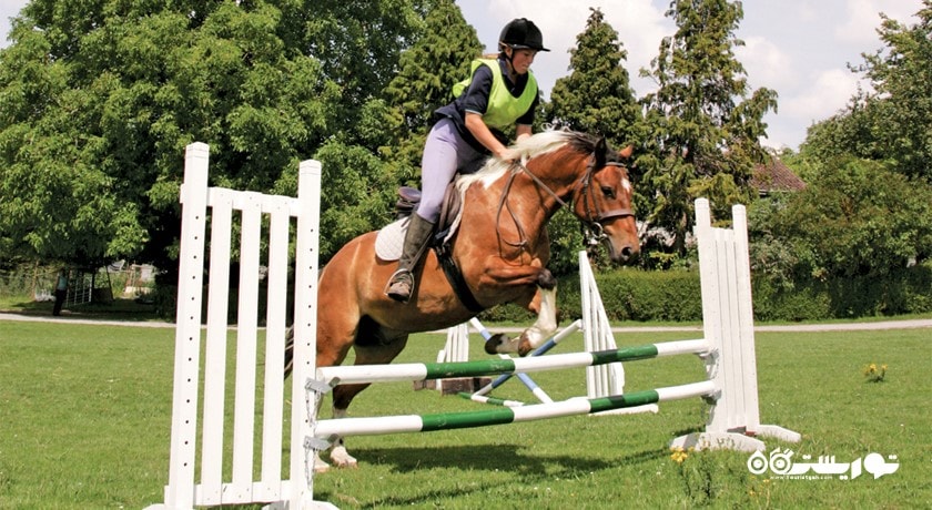 سرگرمی اسب سواری شهر ترکیه کشور استانبول