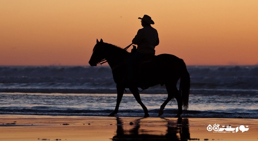 سرگرمی اسب سواری شهر ترکیه کشور استانبول