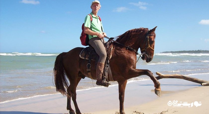 سرگرمی اسب سواری شهر ترکیه کشور استانبول