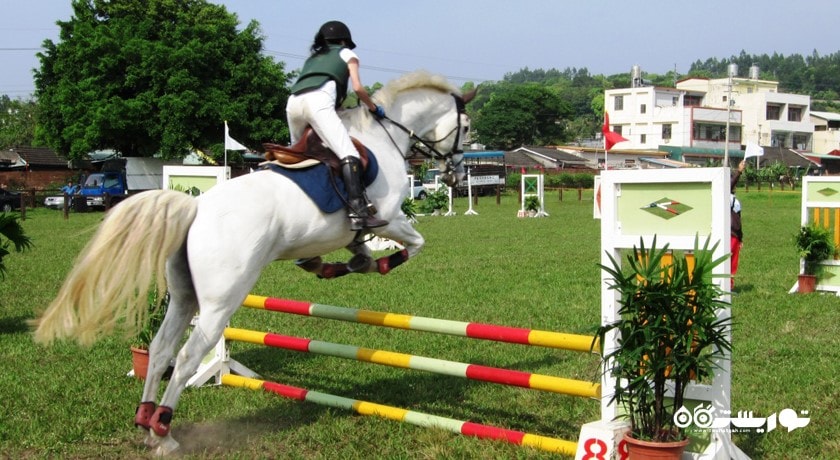 سرگرمی اسب سواری شهر ترکیه کشور استانبول