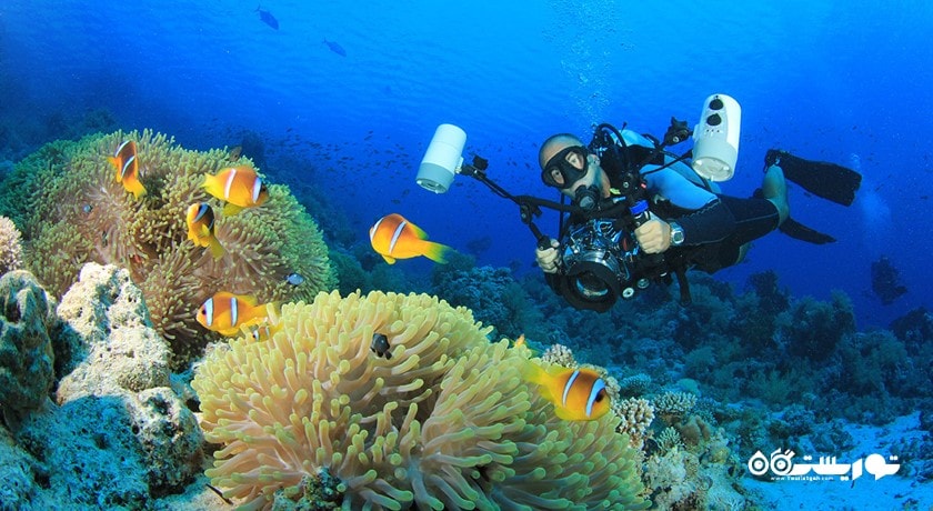 سرگرمی غواصی شهر ترکیه کشور استانبول