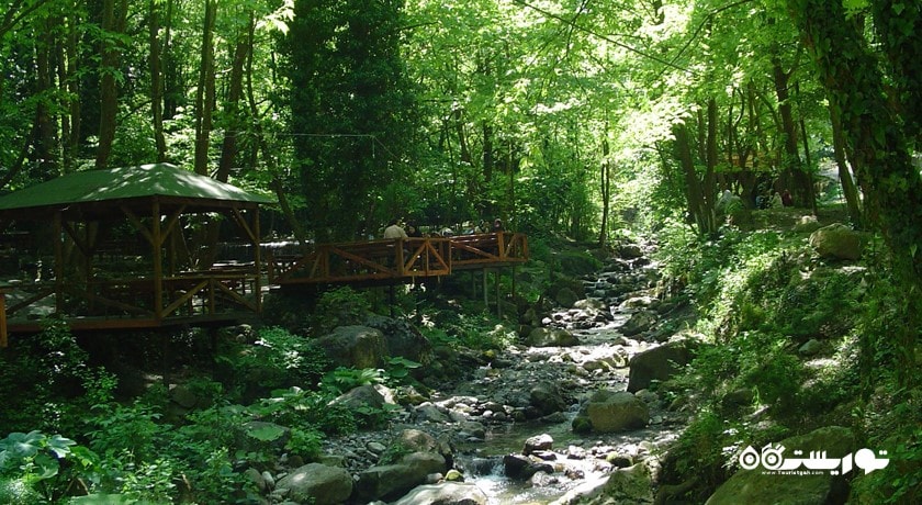  پولونزکوی شهر ترکیه کشور استانبول