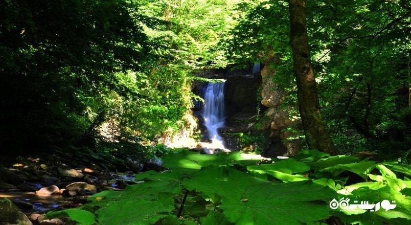  پولونزکوی شهر ترکیه کشور استانبول