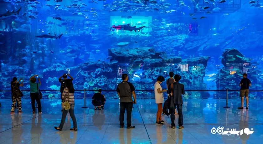 سرگرمی آکواریوم و باغ وحش زیر آبی دبی شهر امارات متحده عربی کشور دبی