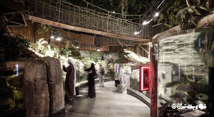 سرگرمی آکواریوم و باغ وحش زیر آبی دبی شهر امارات متحده عربی کشور دبی