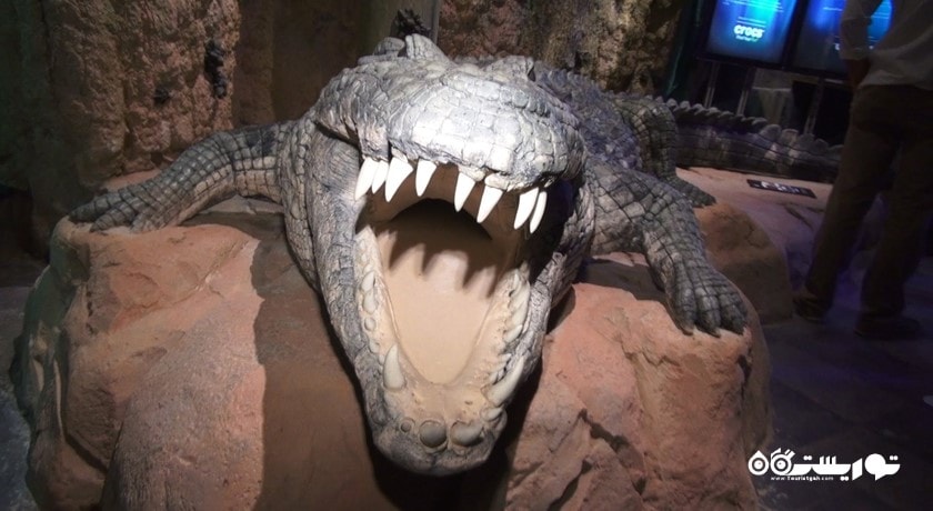 آکواریوم و باغ وحش زیر آبی دبی -  شهر دبی