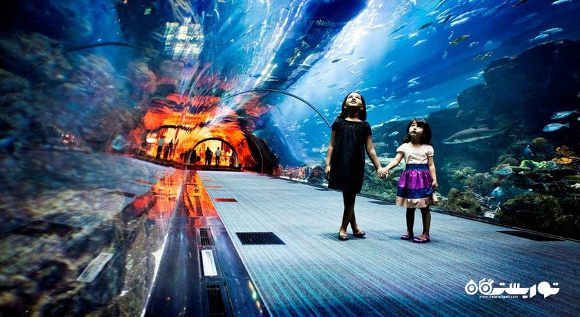 سرگرمی آکواریوم و باغ وحش زیر آبی دبی شهر امارات متحده عربی کشور دبی