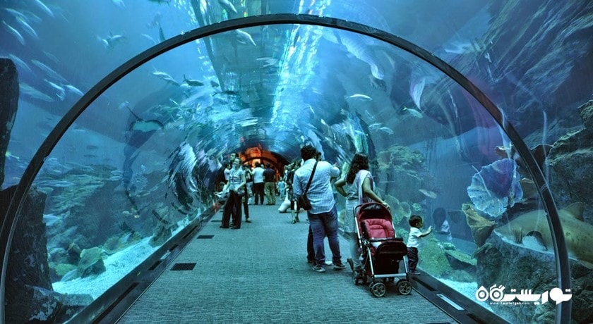 مرکز خرید دبی مال شهر امارات متحده عربی کشور دبی