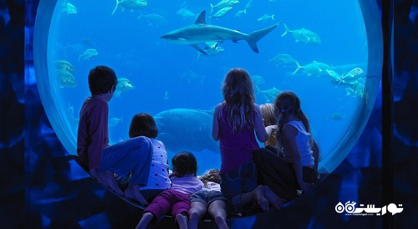 سرگرمی د لاست چمبرز آکواریوم شهر امارات متحده عربی کشور دبی