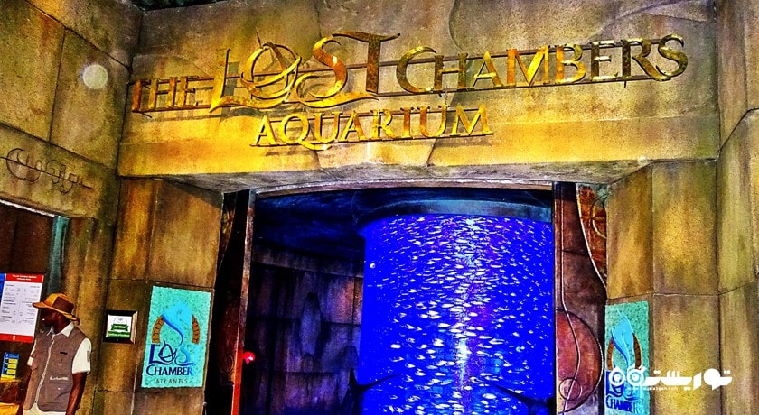 سرگرمی د لاست چمبرز آکواریوم شهر امارات متحده عربی کشور دبی