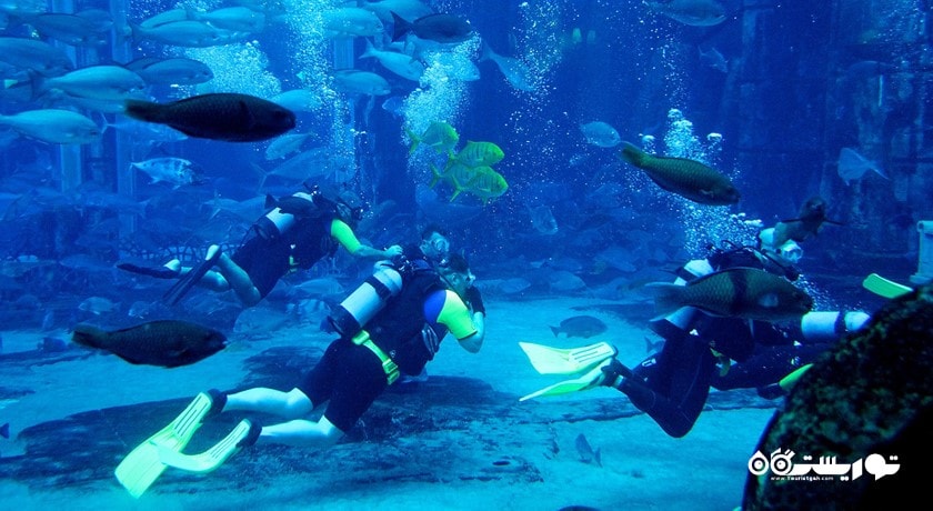 سرگرمی د لاست چمبرز آکواریوم شهر امارات متحده عربی کشور دبی