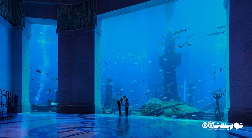 سرگرمی د لاست چمبرز آکواریوم شهر امارات متحده عربی کشور دبی