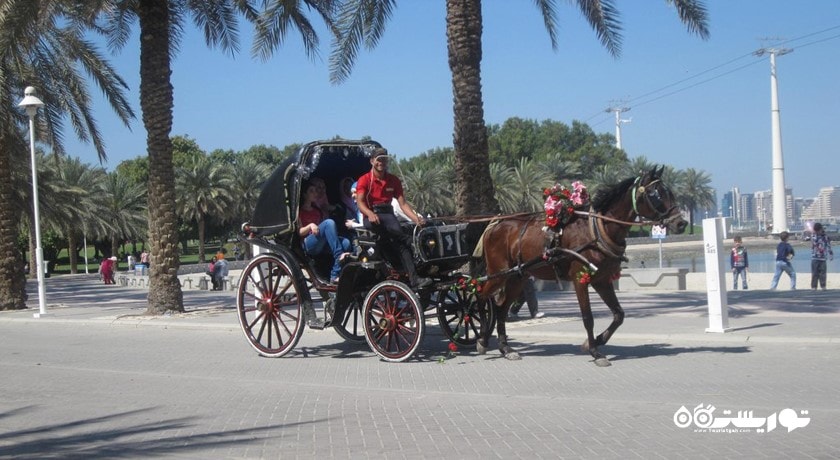  کریک پارک شهر امارات متحده عربی کشور دبی