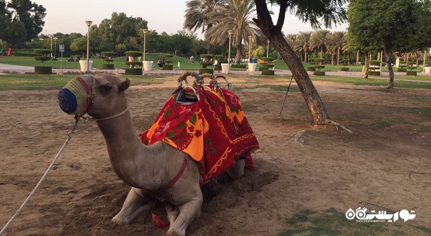 کریک پارک -  شهر دبی