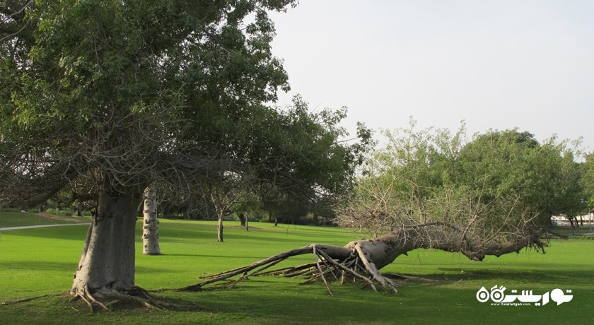  کریک پارک شهر امارات متحده عربی کشور دبی