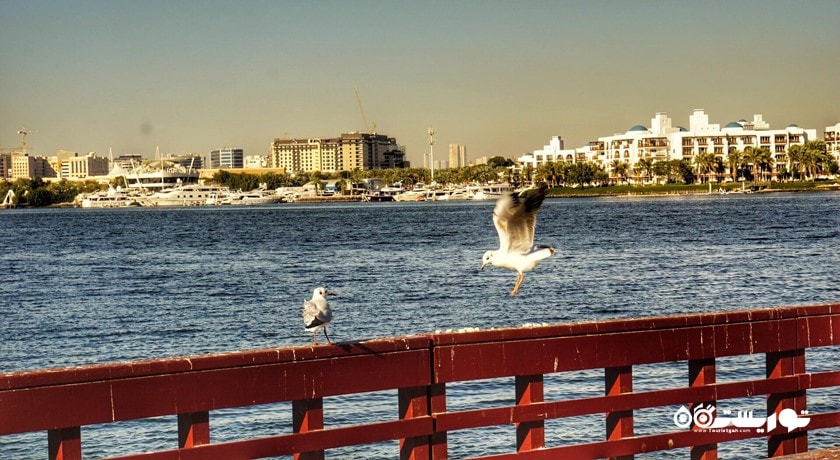  کریک پارک شهر امارات متحده عربی کشور دبی