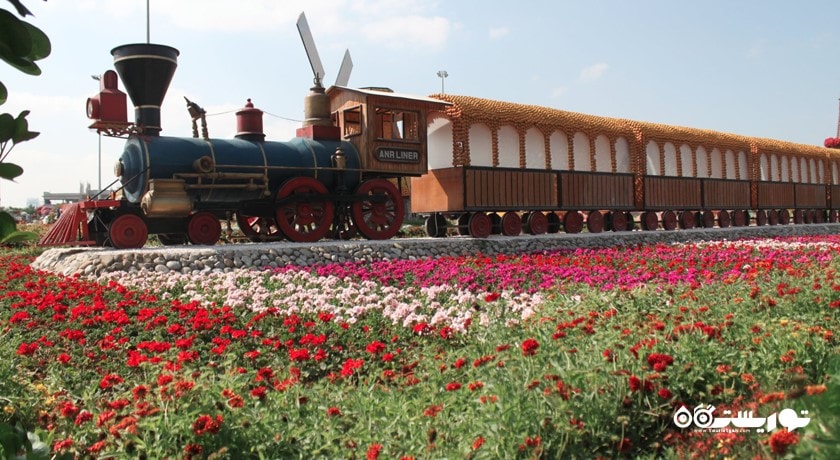 دبی میراکل گاردن -  شهر دبی