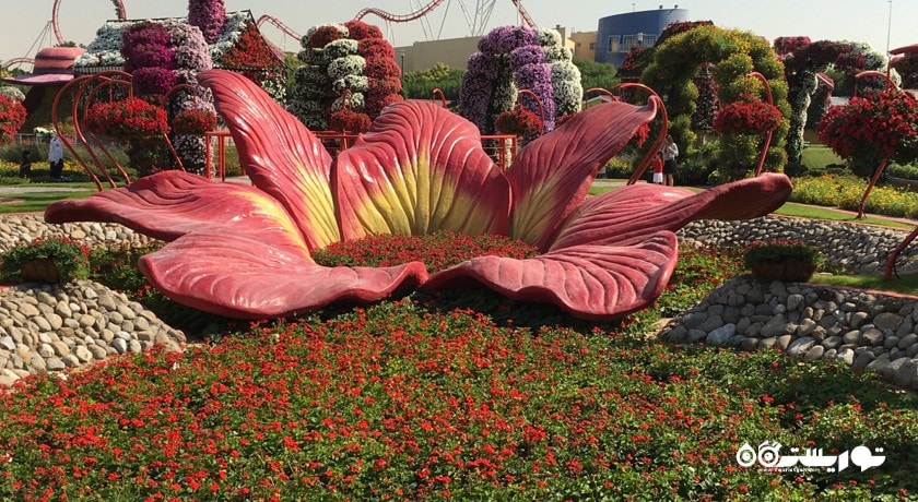  دبی میراکل گاردن شهر امارات متحده عربی کشور دبی