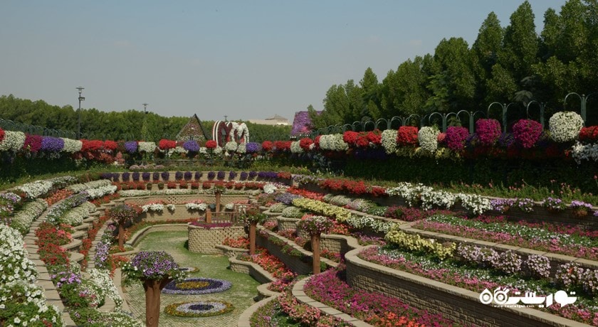 دبی میراکل گاردن -  شهر دبی